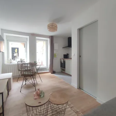 Apartment Avec Patio En Centre-ville Pontivy